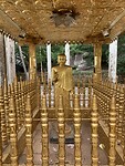 IMG_7341