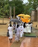 IMG_7351