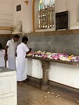 IMG_7354