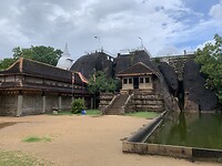 IMG_7366
