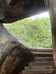 IMG_7369