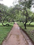 IMG_7377