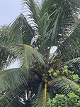 IMG_7489