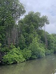 IMG_7502