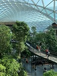 IMG_7598