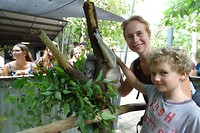118 Joep vindt de koala lekker zacht