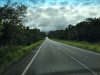 130 onderweg door het tropisch regenwoud