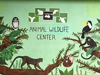 198 Costa Rica Animal Rescue Center