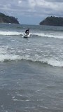 193F Rens surft