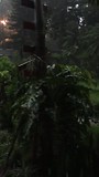212F het regenseizoen