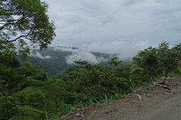 224 uitzicht op cloudforest bij Monteverde