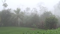 245 hoteltuin bij Volcán Tenorio in de mist