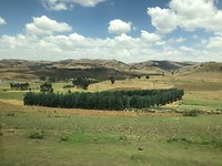 IMG_0178