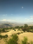 IMG_0187