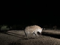 thumb_IMG_0911_1024