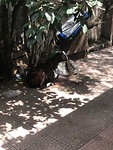 thumb_IMG_0968_1024