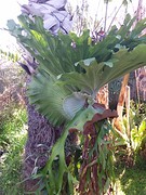 20160907_124929