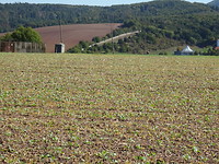 Grenzlandmuseum Eichsfeld in Teistungen