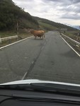 Onderweg vanaf Riano naar Potes
