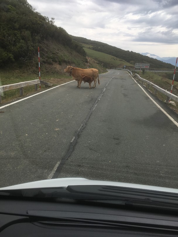 Onderweg vanaf Riano naar Potes