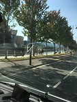 Guggenheim Bilbao