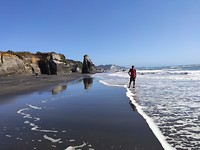 IMG-20200209-WA0024