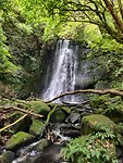IMG_20200226_140319
