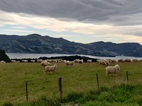 IMG_20200227_101721