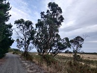 IMG_20200302_075547