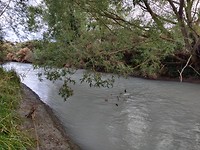 IMG_20200302_074023