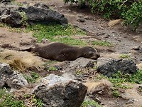 IMG_20200306_133754__01