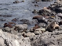 IMG_20200306_134305__01