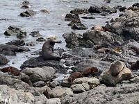 IMG_20200306_134344__01