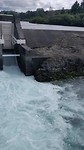 VID_20200310_140102