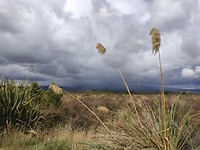 IMG-20200313-WA0009