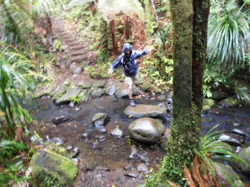 Fairy Falls