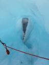 Fox Glacier