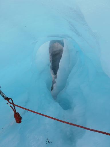 Fox Glacier