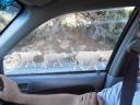 Sheep!