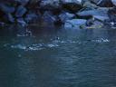 Milford Sound