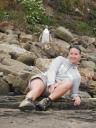 Pinguins