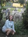 Alpaca's
