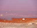 The Pink Lake