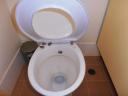 De kikker WC