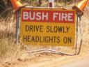 Bush fire