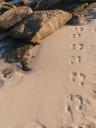Redgate Beach