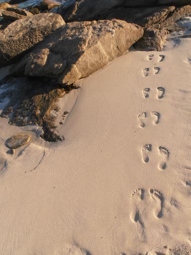 Redgate Beach