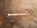 Mammoth Cave
