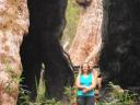 Giant Tingle Tree