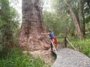 Ancient Impire Walk